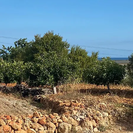 The Retreat - Ria Formosa Hamlet Tatil Evi